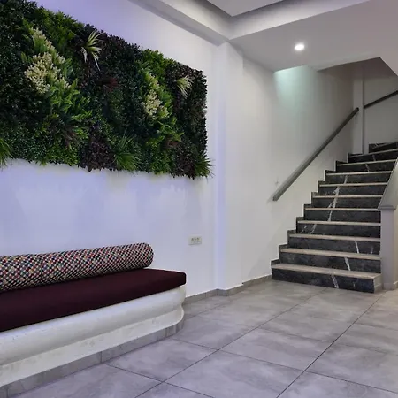 圣托里尼酒店 酒店